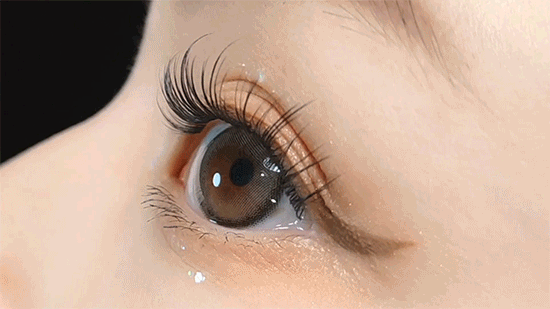 f01ff0e023acd571bea964531e9b00f5_1755150193_378.gif