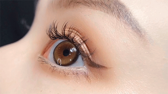 4ad1fd74a1c7314bf9a0fe7f0fca076e_1764653318_6445.gif 4ad1fd74a1c7314bf9a0fe7f0fca076e_1764653318_6445.gif