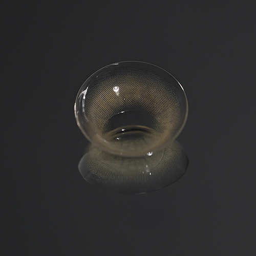 BADCAT 1DAY - EGYPTIAN GRAY 예약수령