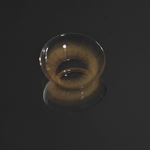 BADCAT 1DAY - SIAMESE BEIGE 예약수령