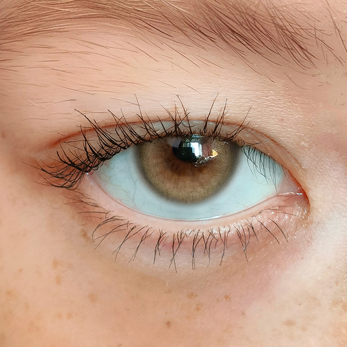 BADCAT 1DAY - SIAMESE BEIGE 예약수령