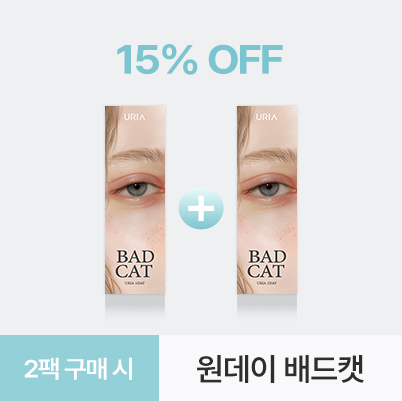 원데이 배드캣 샴 베이지 2팩 할인 이벤트